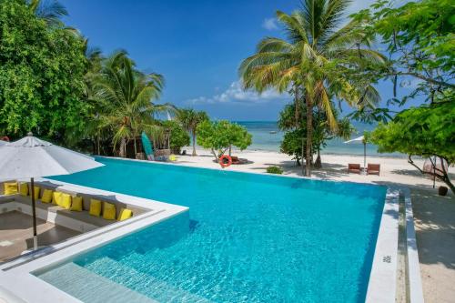an infinity pool with a view of the beach at Alma Boutique Hotel in Jambiani