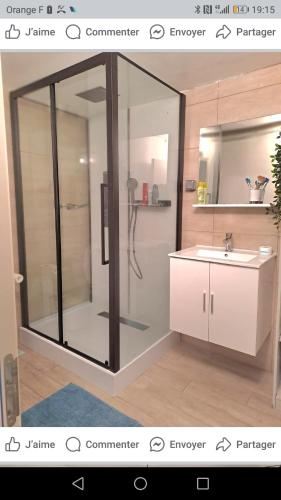 une salle de bain avec une douche en verre et un lavabo dans l'établissement Jolie rez de villa avec piscine à 16km d ajaccio, à Peri