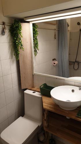 une salle de bain avec un lavabo, des toilettes et un miroir dans l'établissement studio à 5 minute à pieds de la mer, à Sanary-sur-Mer