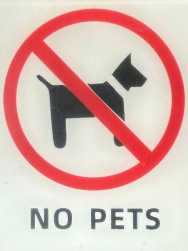 a sign that says no pets with a black cat at MonnaLisa in Périgueux