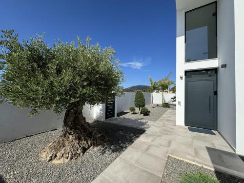 a tree in front of a house with a driveway at Luxury Villa Felicita Moraira in Moraira