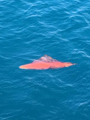 a pink object in the middle of the water at Estocolmo Lovely in Gran Tarajal