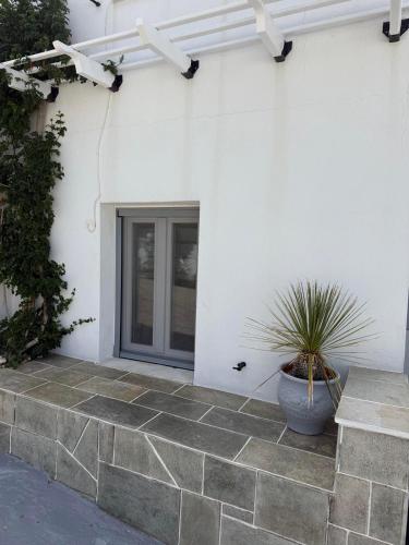 a white house with a potted plant on a patio at Chrysa House in Kamarai