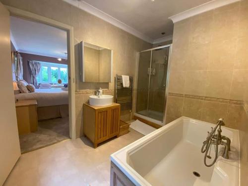 リングウッドにあるNew Forest Country Home with Hot Tub and Open Fireのバスルーム(バスタブ、シンク、ベッド付)