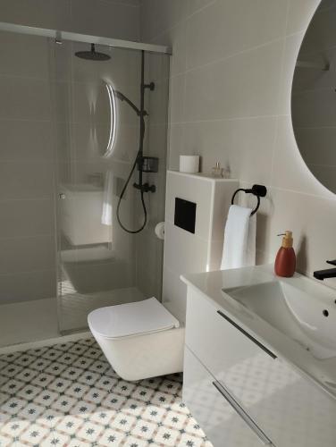 a bathroom with a shower and a toilet and a sink at Casa Gaztelu Txiki in Irún