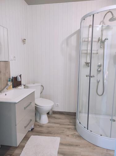une salle de bain avec toilettes et douche en verre dans l'établissement Nid douillet avec jacuzzi privé, à La Celle-sous-Gouzon