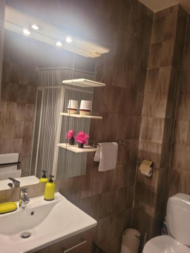 une salle de bain avec un lavabo, des toilettes et un miroir dans l'établissement Studio proche de la mer, à Calvi