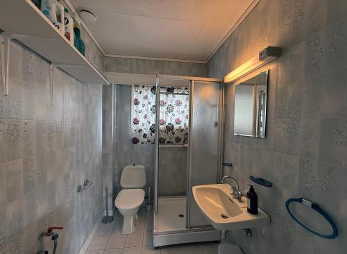 a bathroom with a shower and a toilet and a sink at Haugane in Selje