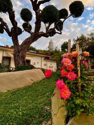 Κήπος έξω από το Alba in vigna Bed and Breakfast