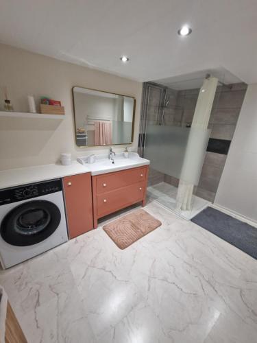 une salle de bain avec un lavabo et une machine à laver dans l'établissement Maison avec borne de recharge N2, à Rolampont