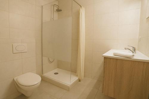 une salle de bain avec une douche, des toilettes et un lavabo dans l'établissement Le Roule Cozy studio with charm and calm, à La Mulatière