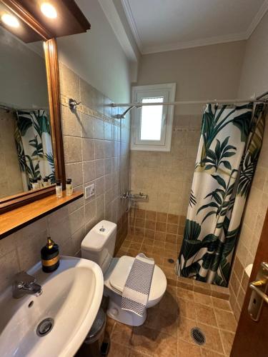 a bathroom with a sink and a toilet and a mirror at Iremia in Kariá