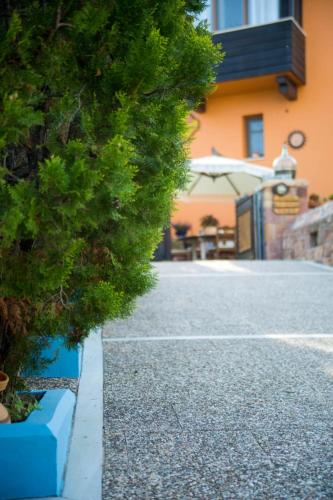 a tree on the side of a road with a building at AnnaDes Apartments & Studios Chios in Karfas