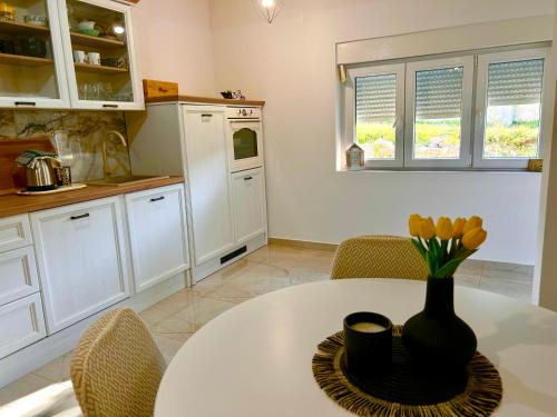 Una cocina o zona de cocina en House of Velebit Adria