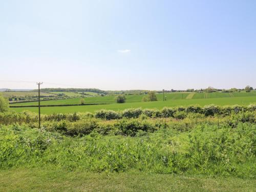 a field of green grass with a utility pole in the distance at BB House in Bedford