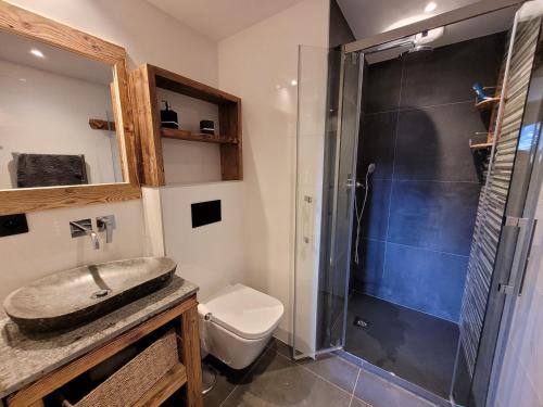 a bathroom with a shower and a sink and a toilet at Exceptionnel duplex avec vue panoramique, terrasse et garage aux Gets - FR-1-598-36 in Les Gets