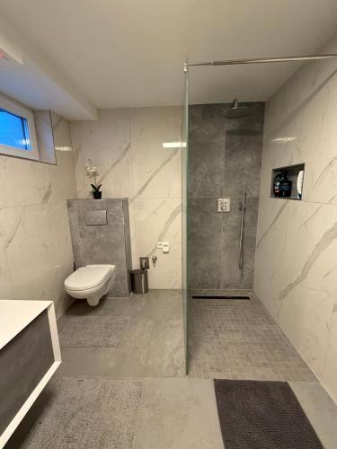 a bathroom with a glass shower and a toilet at Exklusives Apartment mit großer Sonnenterrasse in Singen