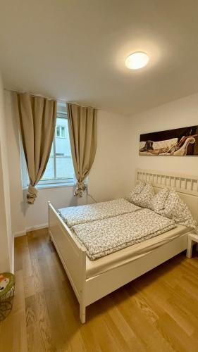 Vienna Laurenz apartment