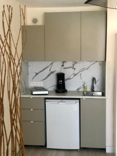 une cuisine avec un évier et un plan de travail dans l'établissement Studio L envie d ailleurs, à Marseillan