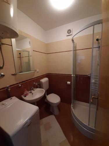 a bathroom with a toilet and a sink and a shower at Ferienhaus Elena in Karlobag