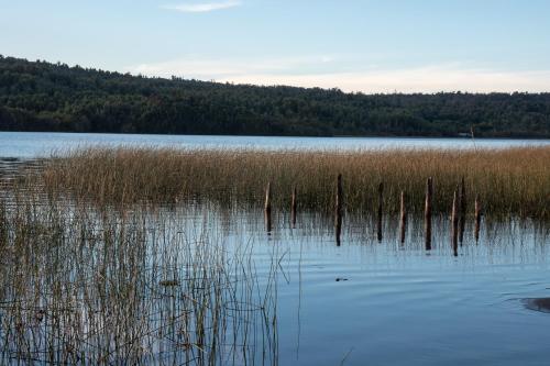 a large body of water with some tall grass at Lodge playa pupelde, Ancud in Mecura