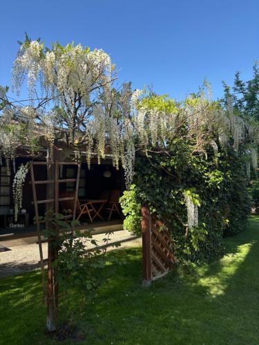 a garden with a pergola with white flowers on it at Ferienhaus Schnuckenheide 13 in Winsen Aller