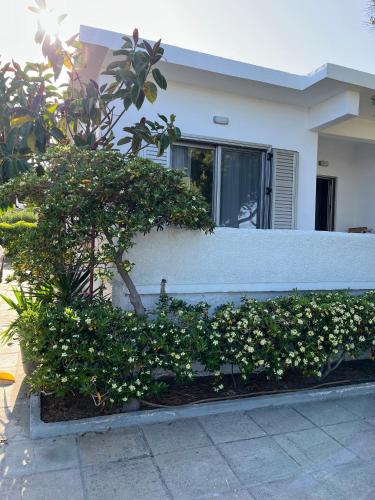 Sea View Beach House near Athens Airport