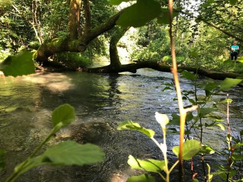 a stream with a person standing on the bank at B&B Terre Di Bea in Pederobba