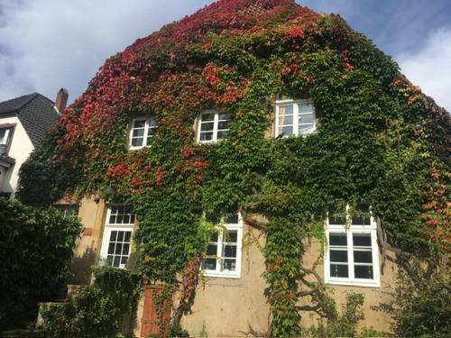 Galeriebild der Unterkunft Haus Kroneck-Salis Ferienwohnung in Bad Iburg