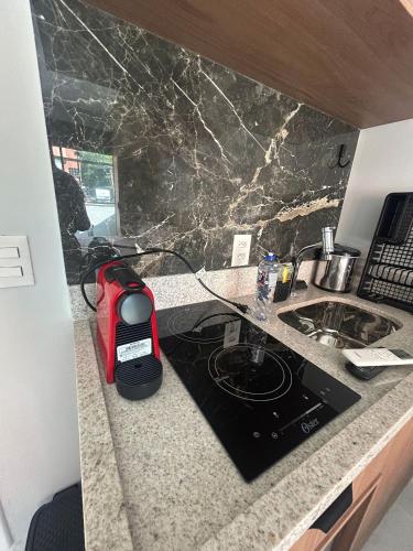 Cuisine ou kitchenette dans l'établissement Studio Z
