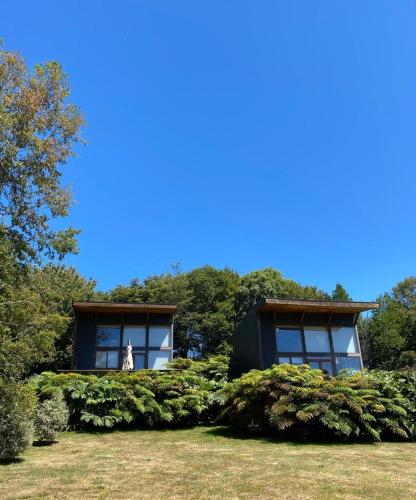 a house with a dog sitting in the window at Lofts Magnolias in Puerto Varas