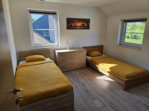 two beds in a room with two windows at La Villa Fer D'art in Houyet