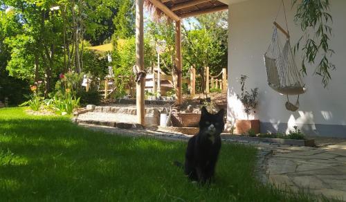 Giardino di Beach & Birds
