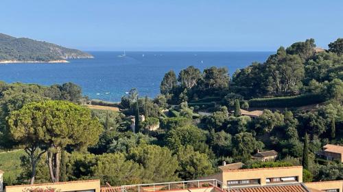 Sylvabelle Gigaro Sea Lounge 2