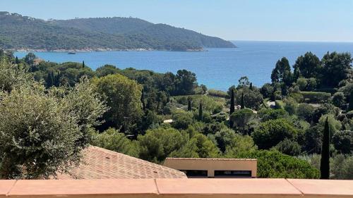 Gigaro Sylvabelle Sea Zen 2