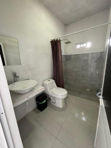 a bathroom with a toilet and a sink and a shower at El Amanecer de Chiltepec in Chiltepec