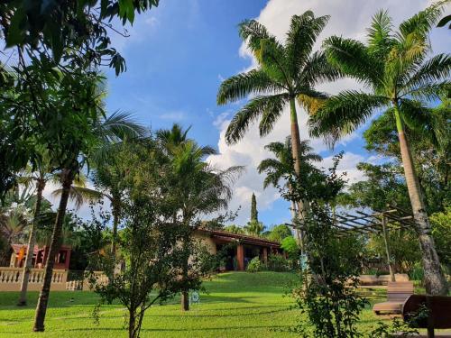 un groupe de palmiers devant une maison dans l'établissement Ecocentro Brasil - Bangalô 2, à São Pedro