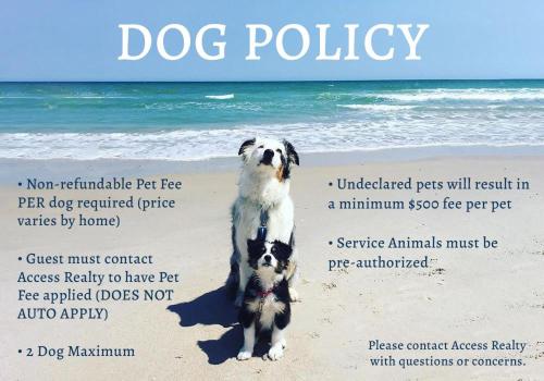 a dog standing on the beach next to the ocean at 4290 Island Drive in North Topsail Beach