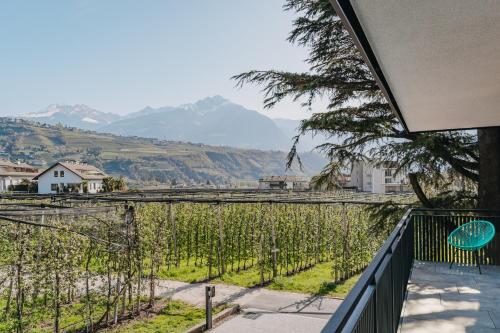 a view from the balcony of a house with vines at Apart Suites Gravbach in Lagundo