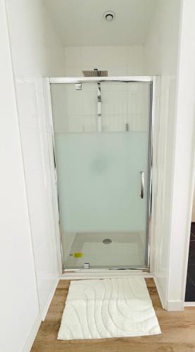 a shower with a glass door in a bathroom at Villa Spa du Bassin - Le Teich - Bassin d'Arcachon in Le Teich