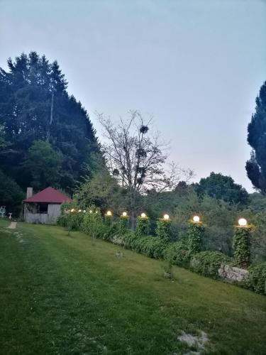a garden with a row of plants and lights at Edelweiss in Roussillon-en-Morvan