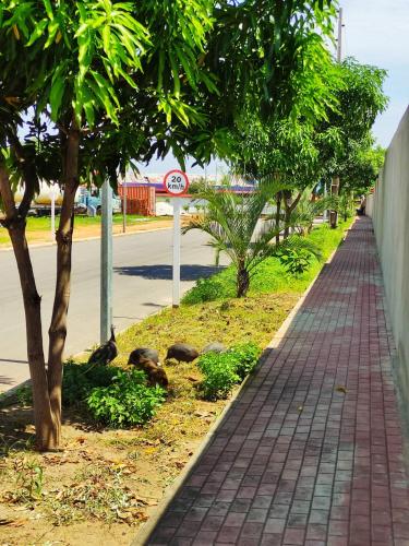 Fotografie z fotogalerie ubytování 21st Avenue v destinaci Luanda