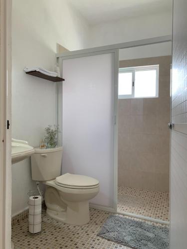 a bathroom with a toilet and a sink and a shower at Coco apartamento centrico in Cozumel