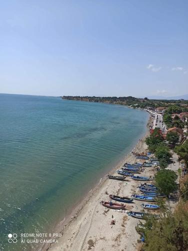 Příroda nedaleko apartmánu