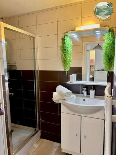 une salle de bain avec un lavabo et une douche dans l'établissement L'azuréen, à Mandelieu-la-Napoule