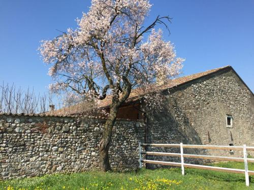 Antico Cascinale Lombardo – Photos 5
