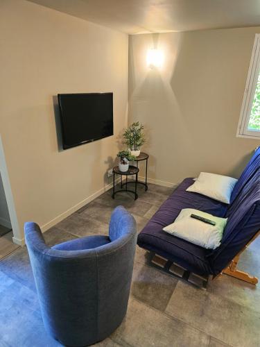 a living room with a couch and a tv at Independent apartment, quiet, forest and pool in Chancelade