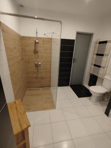 a bathroom with a shower and a toilet at Zakątek u Grzesia Gril & Chill in Trzebieszewo