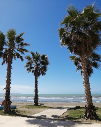 квартира-студия