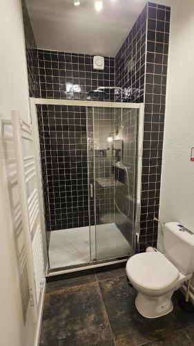 une salle de bain avec toilettes et douche en verre dans l'établissement Le clos Medieval - 2 bedrooms, Wi-Fi, terrace, à Montluçon